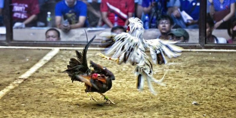w 88 đăng nhập nổ hũ hàng đầu