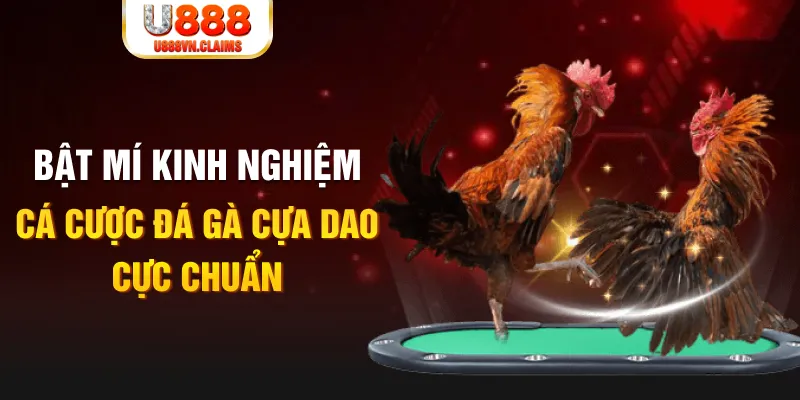 w 88 đăng nhập roulette 2024