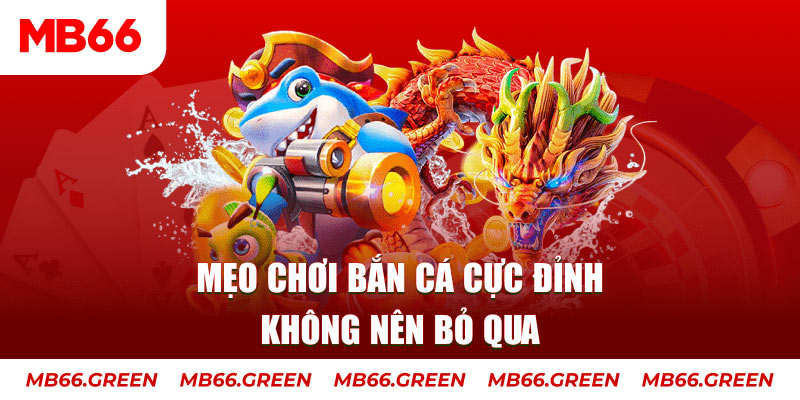 w 88 đá gà trực tiếp 88