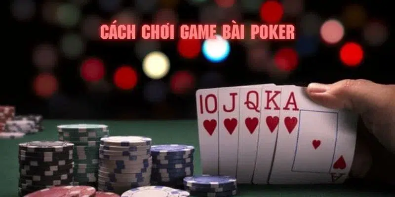 TP Game Bài 3d