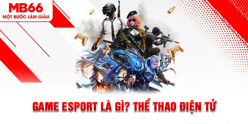 w 88 xổ số miền nam hàng tuần