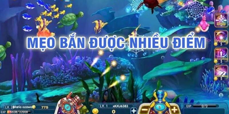 w 88 đá gà