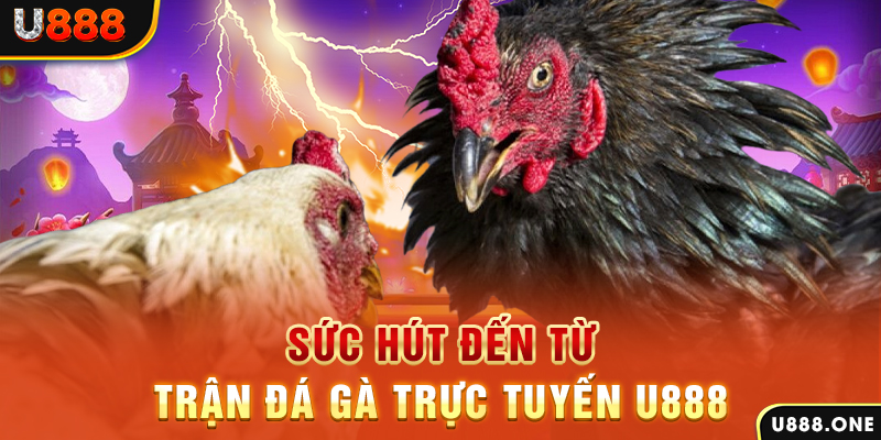 w 88 slot tiếng anh la gì