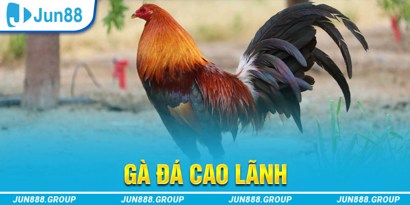 w 88 thị trường baccarat là gì