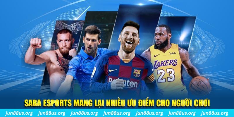 w 88 kết quả xổ số kiến thiết miền bắc