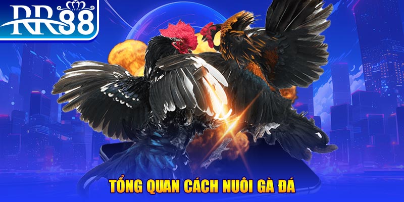 w 88 game bắn cá