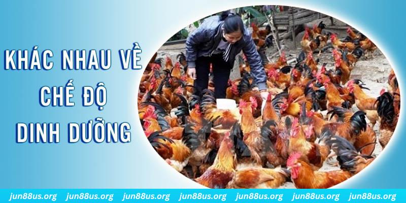 w 88 xổ số thứ sáu hàng tuần