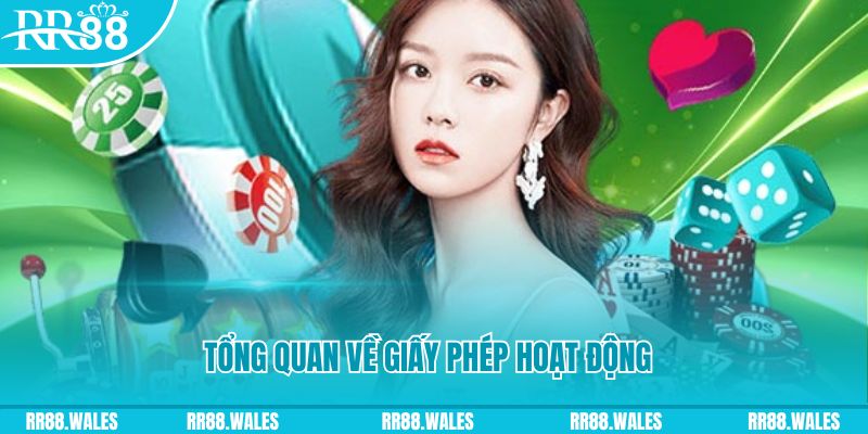 w 88 kết quả xổ số kiến thiết miền bắc