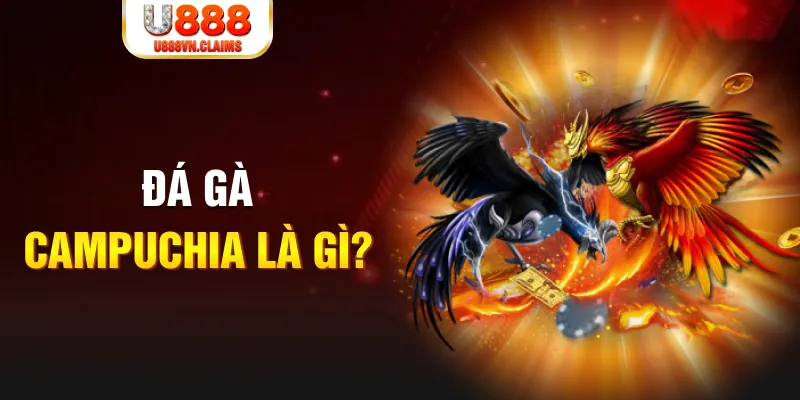 w 88 FC Bắn cá