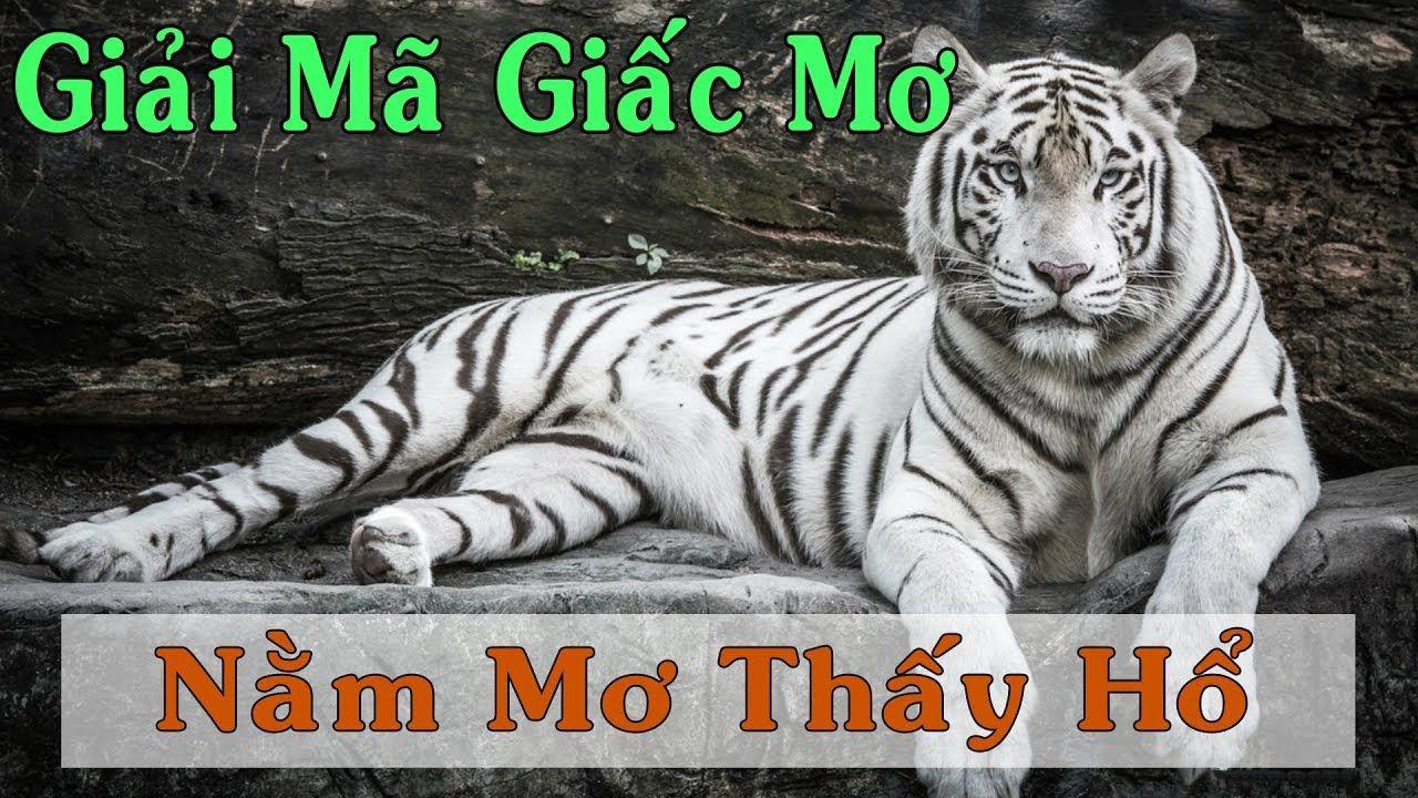 w 88 xổ số miền trung