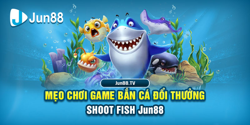 w 88 IM Thể Th