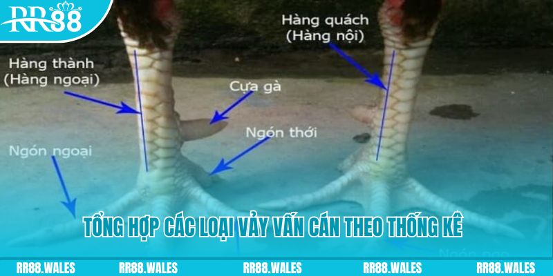 w 88 nền tảng baccarat là gì