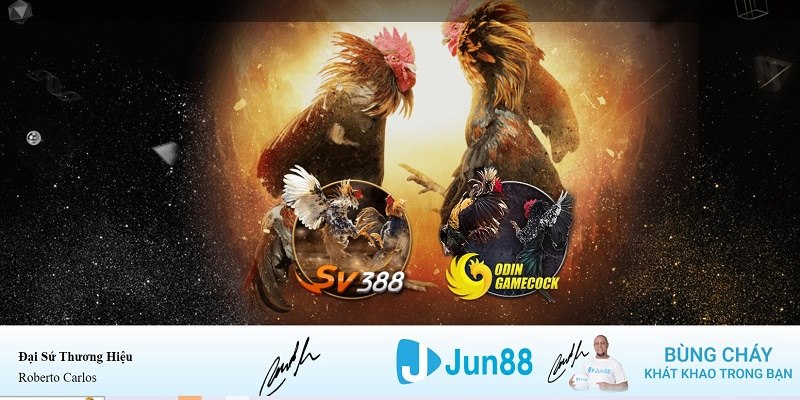w 88 xổ số miền nam hàng tuần