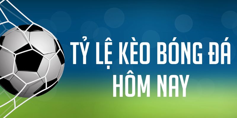 w 88 78 vảy gà tốt nên chọi