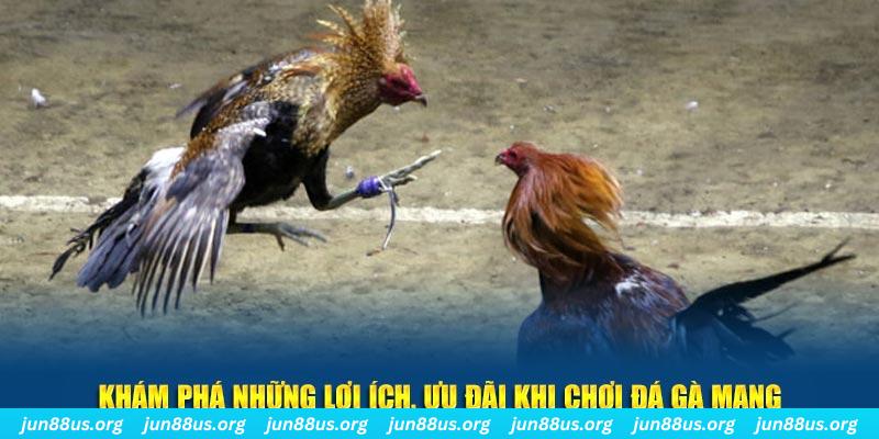 w 88 Tài Xỉu 2
