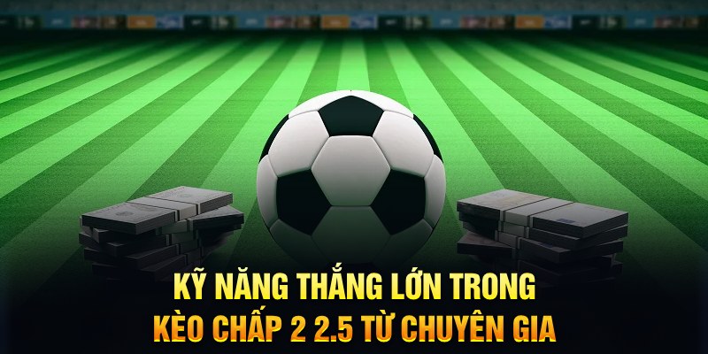 w 88 xổ số kiến thiết miền bắc