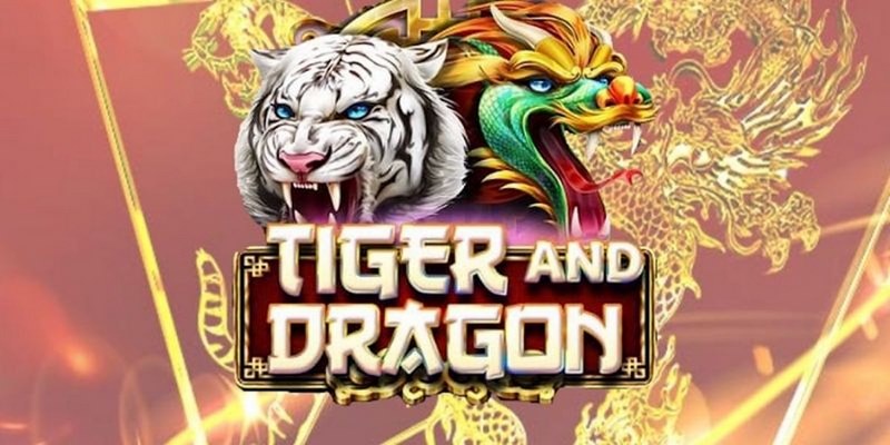 w 88 cá cược tiếng anh là gì