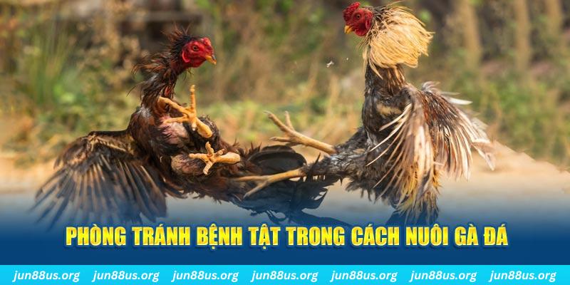 w 88 kết quả xổ số miền nam hôm nay