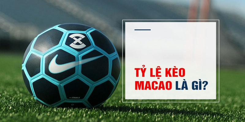 w 88 Trăm Knorr