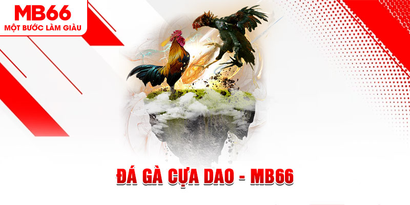 w 88 xổ số miền bắc thứ năm hàng tuần