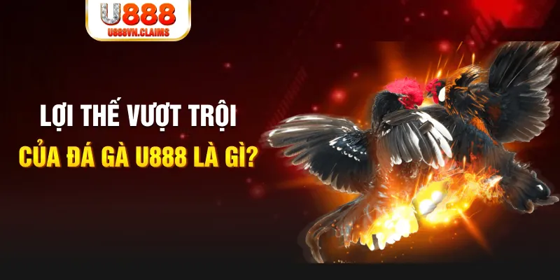 w 88 hòn gà chọi